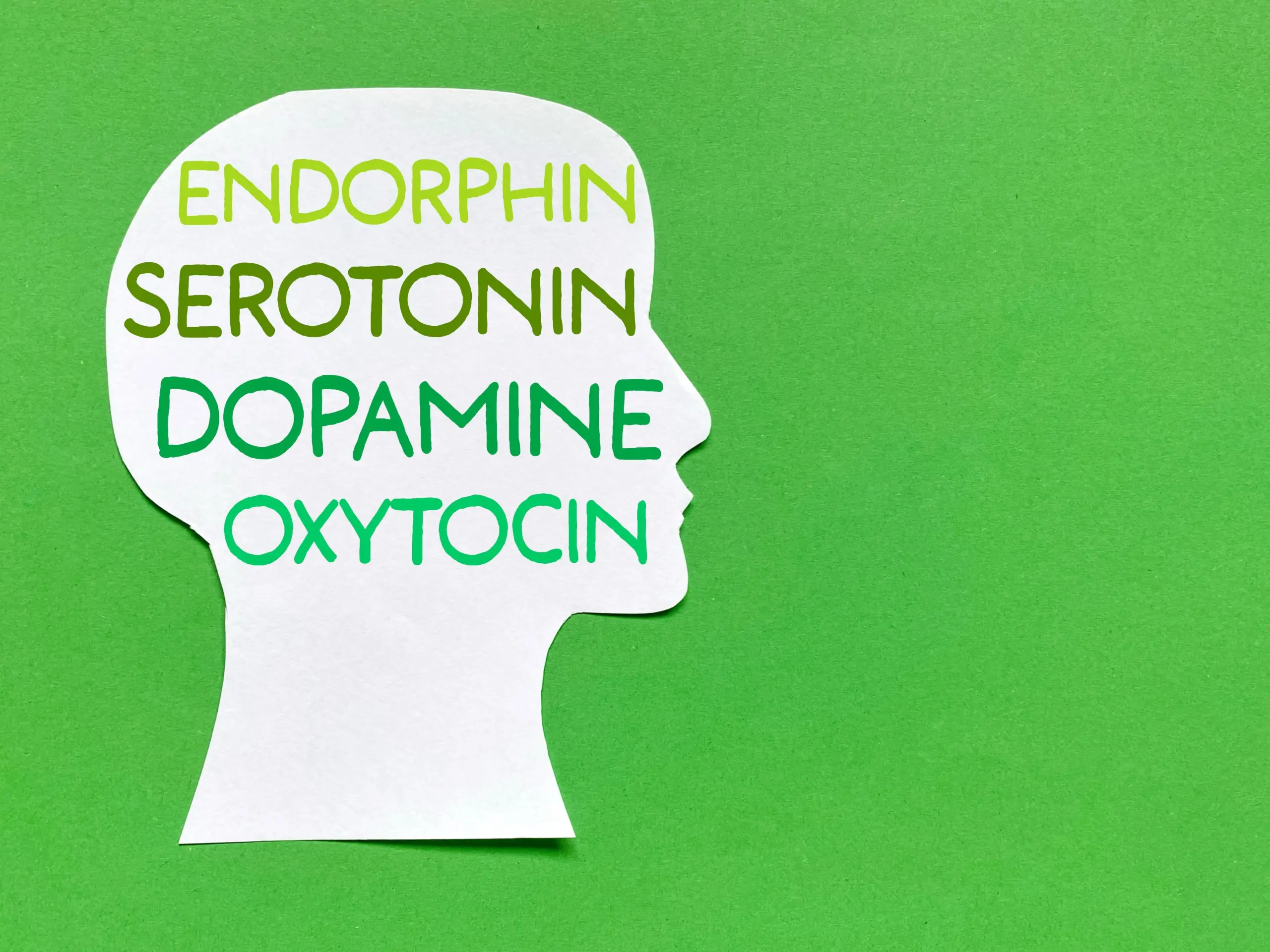 Endorphins released during exercise supporting mood